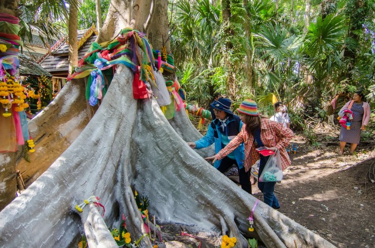 คำชะโนด 3