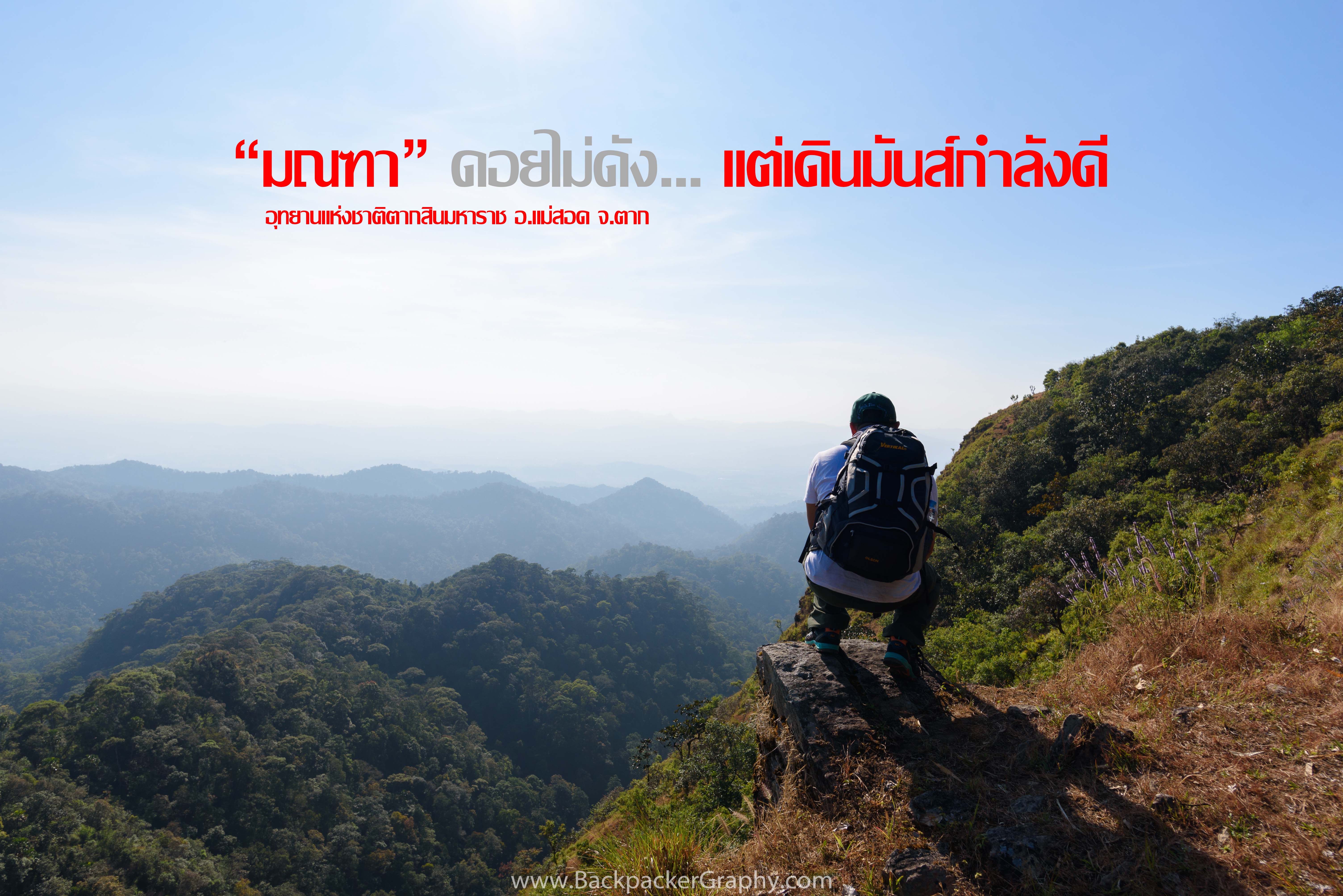 TAE_9724 Cover Photo.jpg